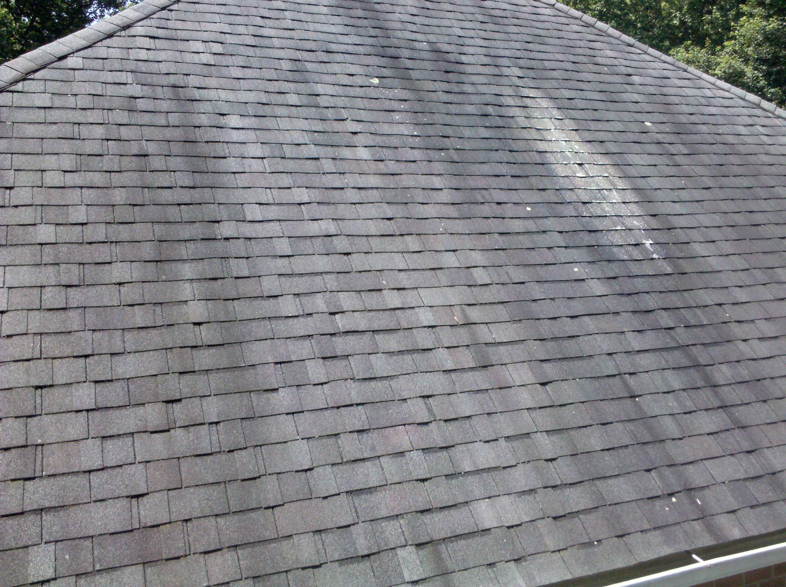 Best Way To Remove Algae From Your Roof Schulte Roofing